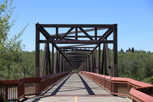 Bridge Symmetry  